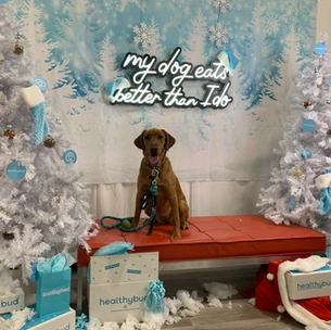 Nala at photo booth