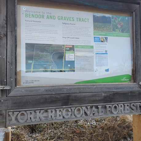 Bendor & Graves Off Leash Tract