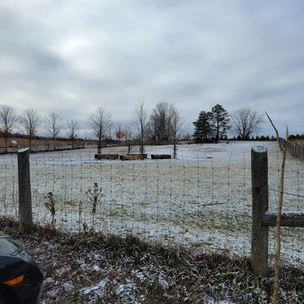 Fenced in Area - Bendor & Graves Off Leash Tract