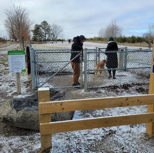 Fenced in Area - Bendor & Graves Off Leash Tract