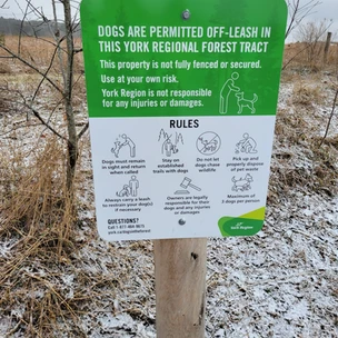 Bendor & Graves Off Leash Tract