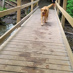 Harmony Dog Park