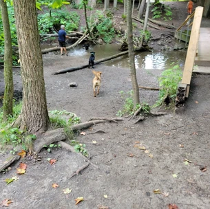 Harmony Dog Park