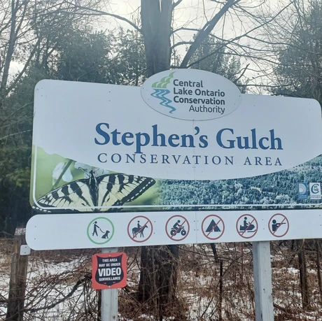 Stephen's Gulch