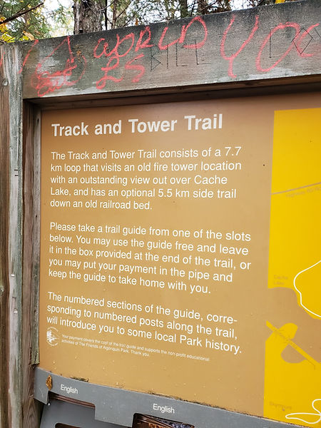 Track & Tower Trail - Algonquin Park