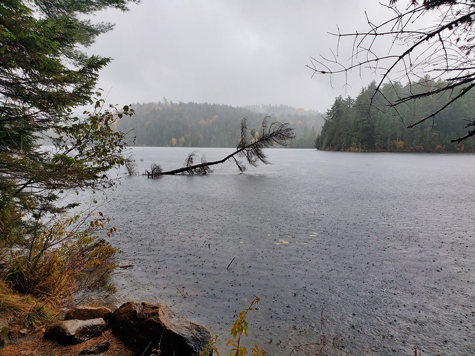 Track & Tower Trail - Algonquin Park