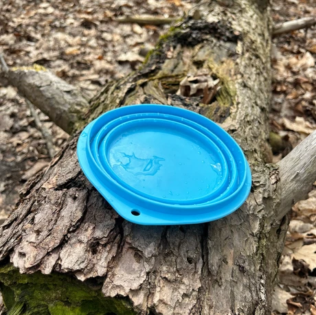 Collapsable Water Bowl
