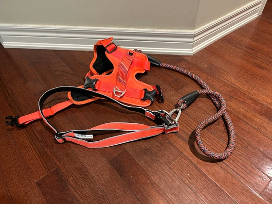 Dog Harness