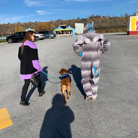 Howl-O-Ween