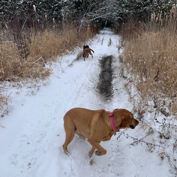 Cragg Trail