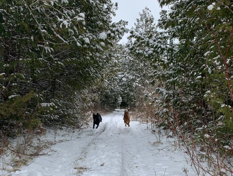 Cragg Trail