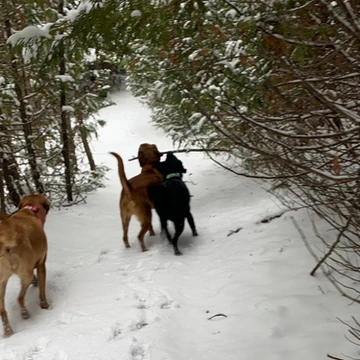 Cragg Trail