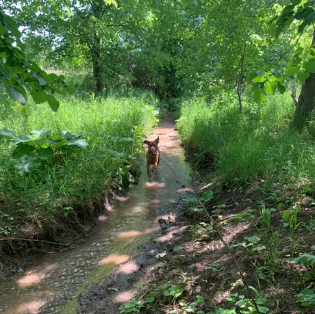 Bronte Creek Provincial Park