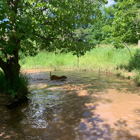 Bronte Creek Provincial Park