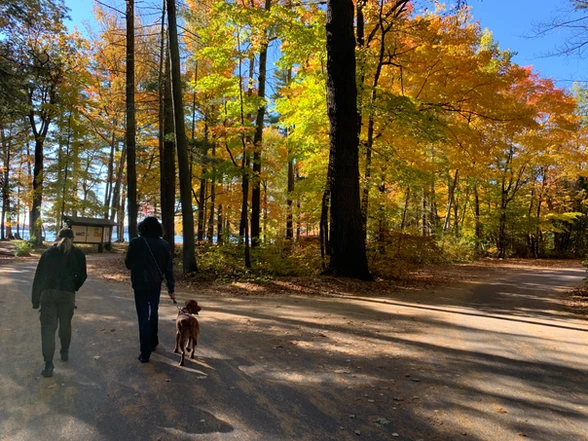 Bon Echo Provincial Park