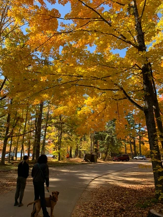 Bon Echo Provincial Park