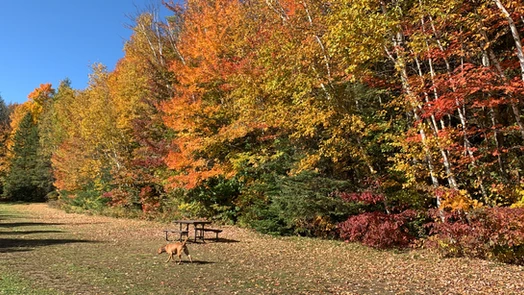 Bon Echo Provincial Park