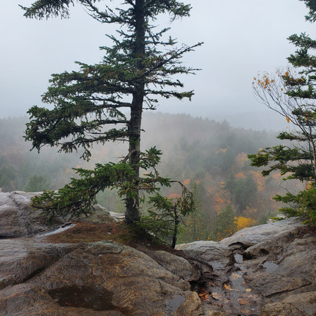 Track & Tower Trail - Algonquin Park