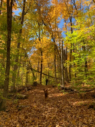 Bon Echo Provincial Park