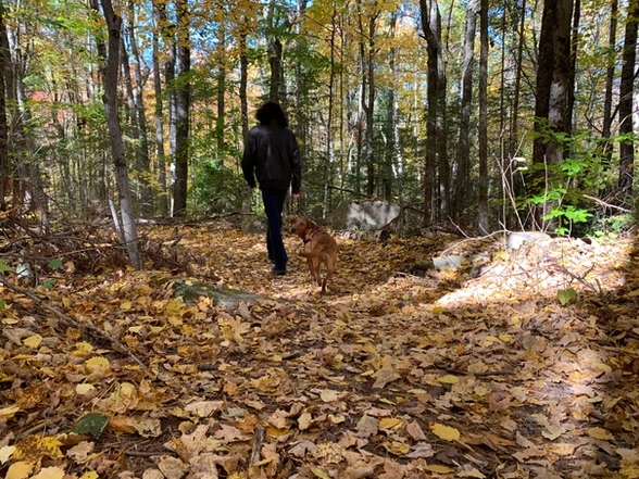 Bon Echo Provincial Park