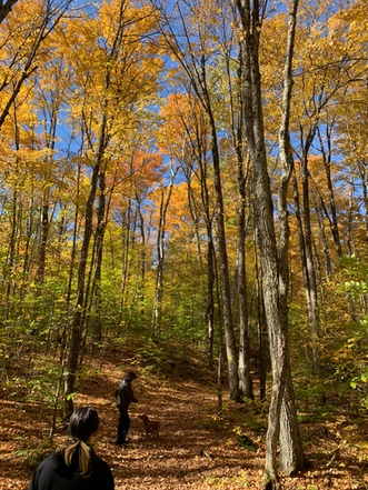 Bon Echo Provincial Park