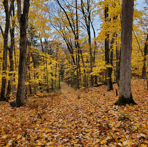 Arrowhead Provincial Park