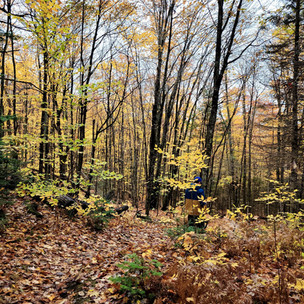 Arrowhead Provincial Park