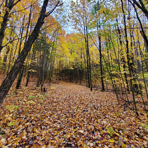 Arrowhead Provincial Park
