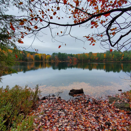 Mayflower Lake