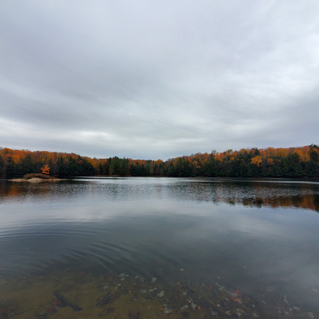 Mayflower Lake