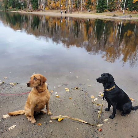 Arrowhead Provincial Park Dog Beach