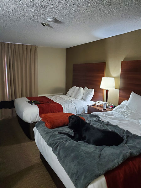 Comfort Inn Huntsville