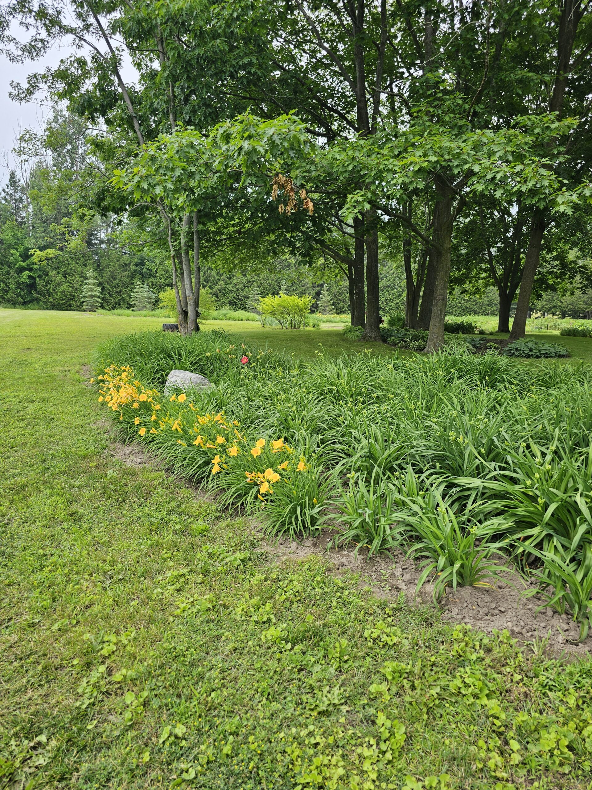 Hosta Hideway & Out of the Barn