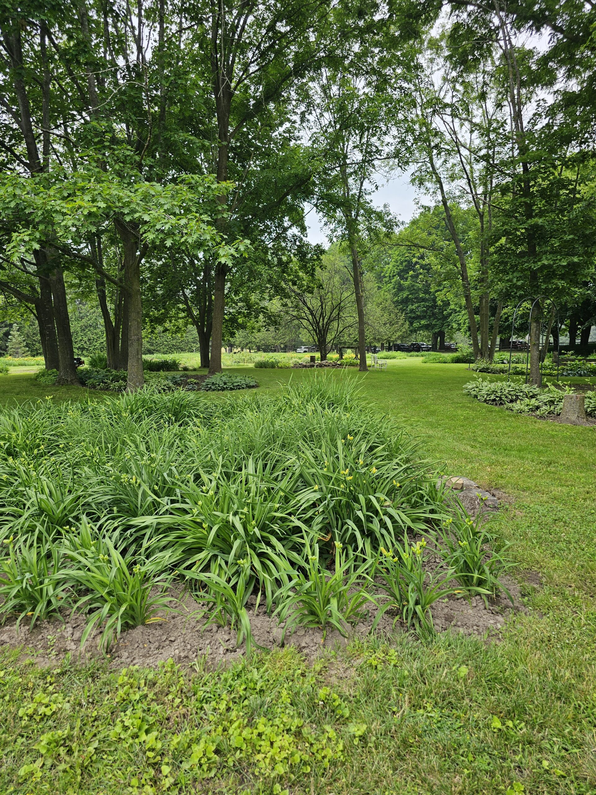 Hosta Hideway & Out of the Barn