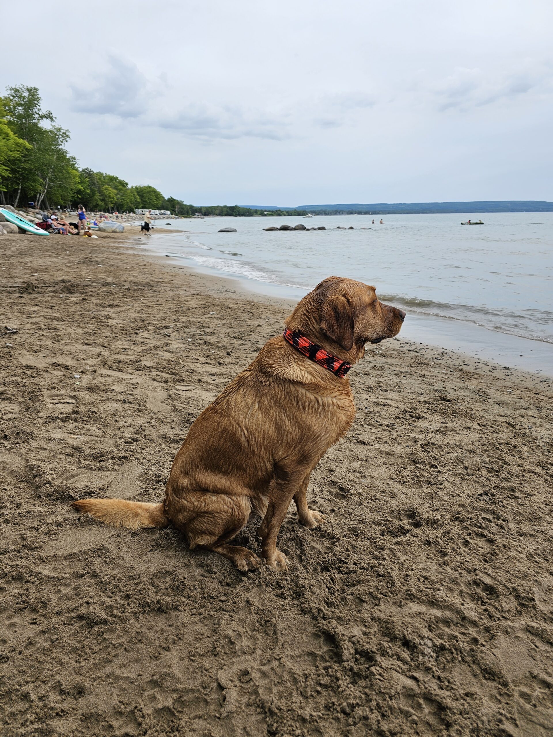 Memorial Park Dog Beach