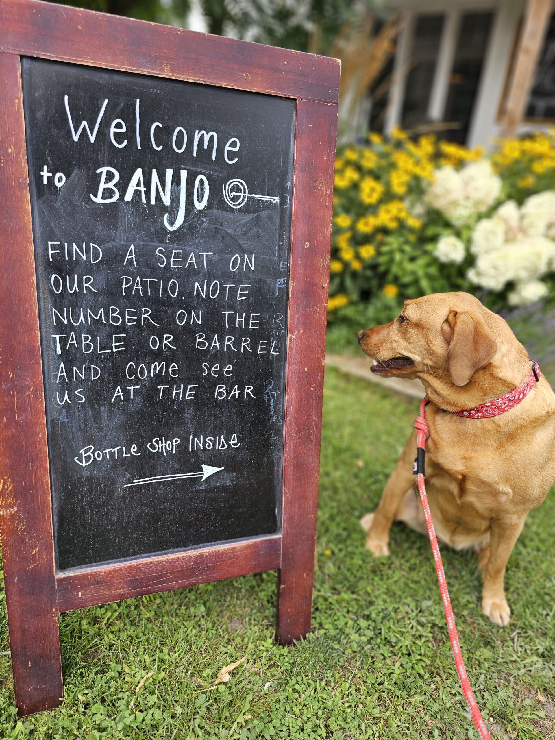 Banjo Cider