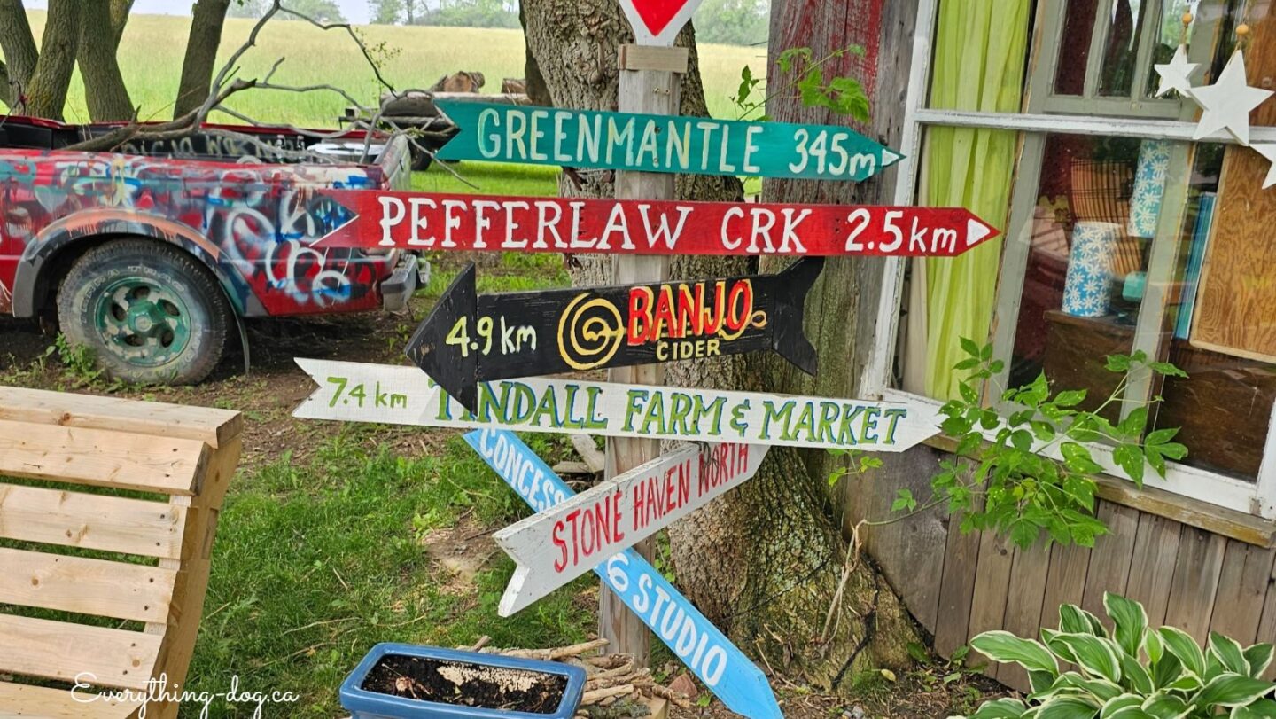 Leaskdale Loop in Uxbridge – Fun Dog Friendly Places to Visit!
