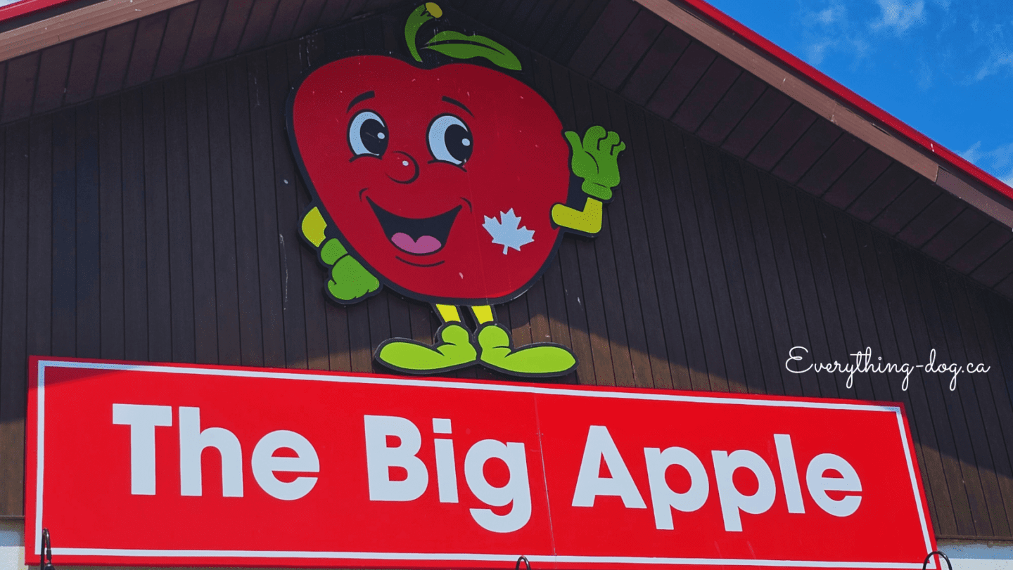 A Pit Stop at the Big Apple in Colborne