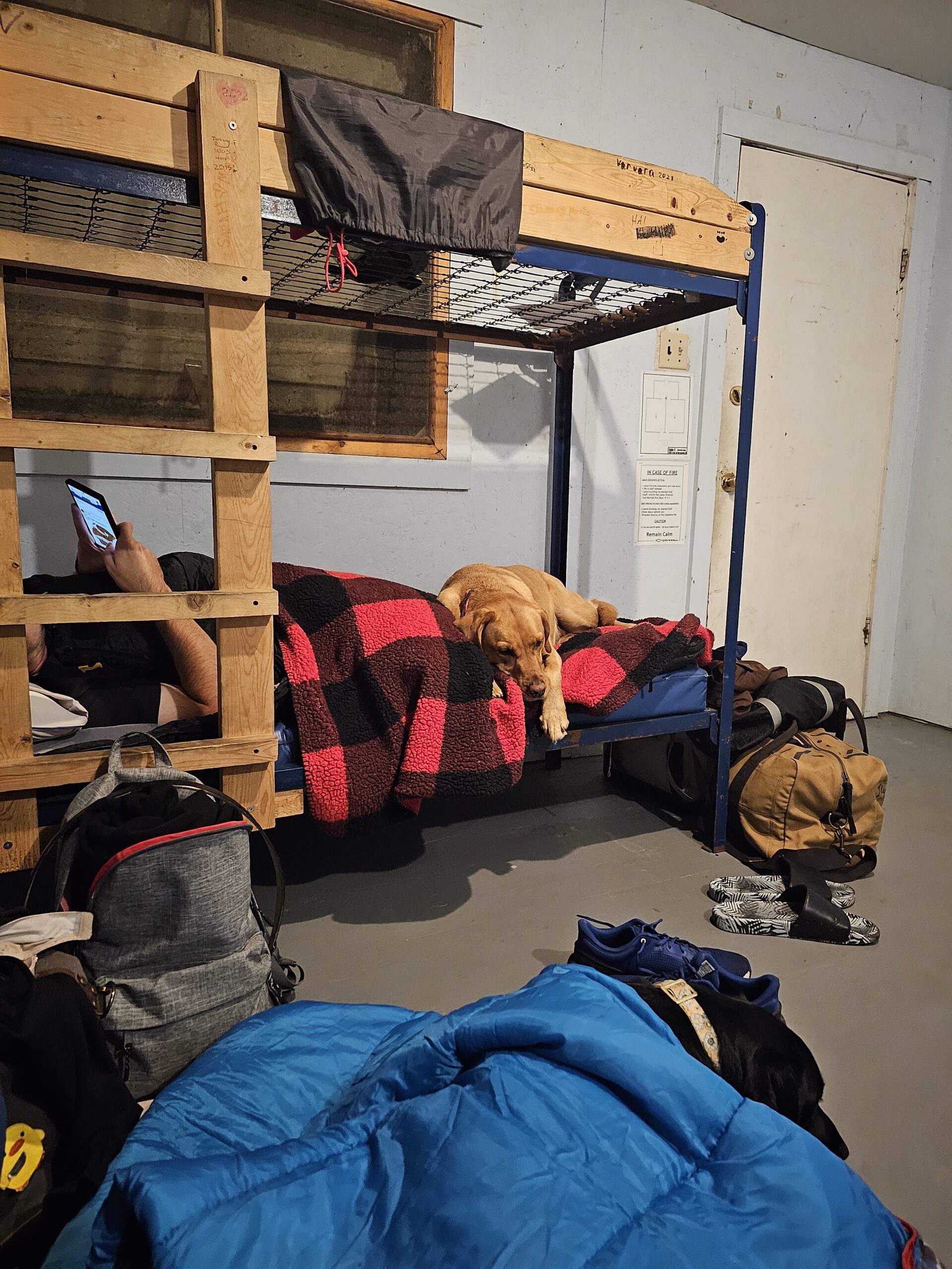 Dog Gone Fun Camp - Cabin