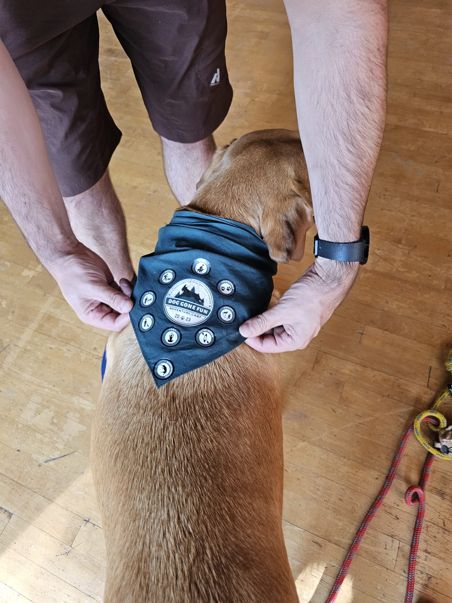 Dog Gone Fun Adventure Camp bandanna
