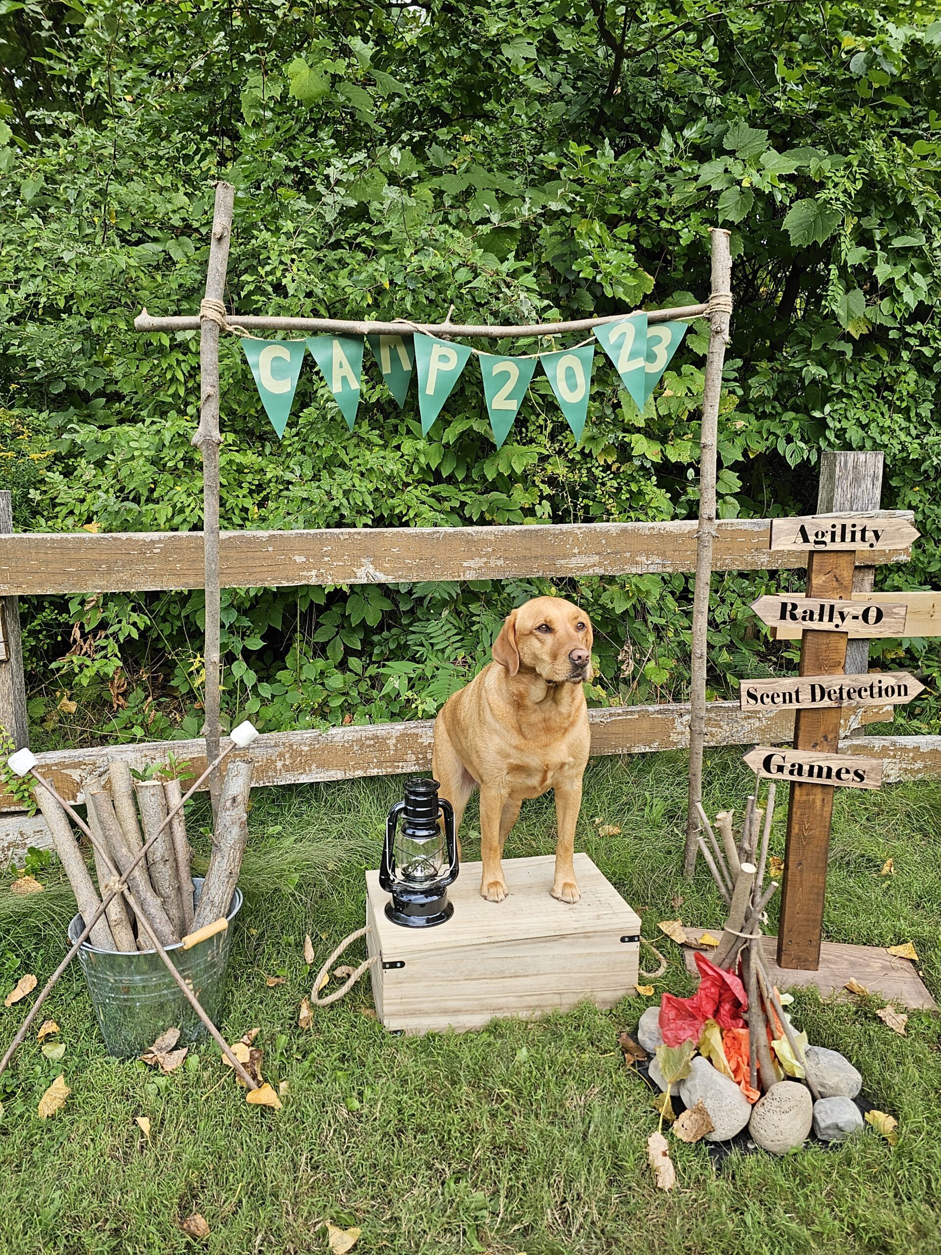 Dog Gone Fun Adventure Camp selfie