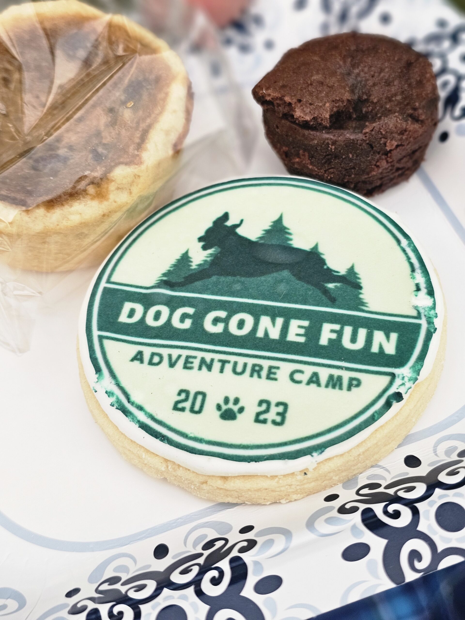 Dog Gone Fun Camp Dessert