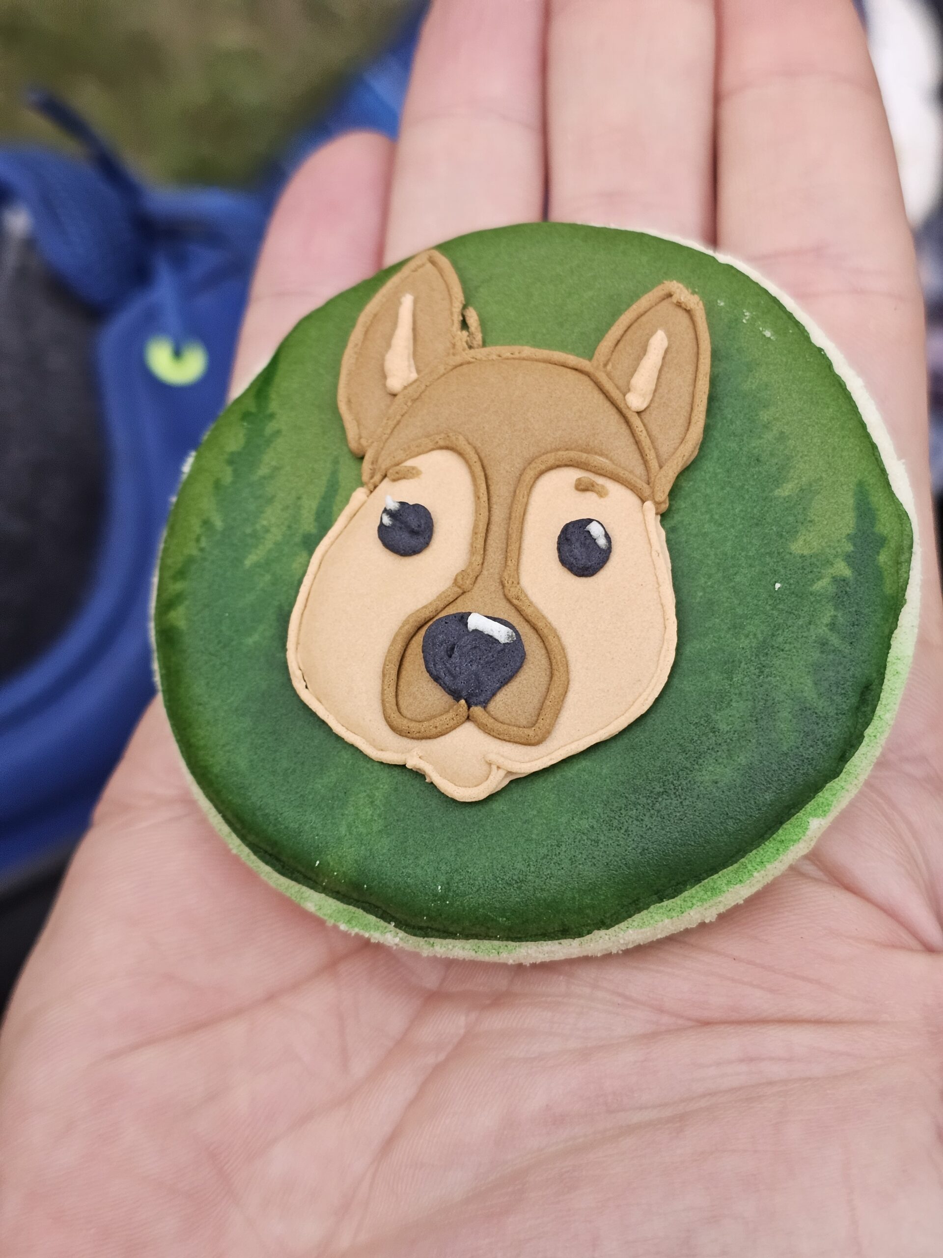 Dog Gone Fun Camp Dessert