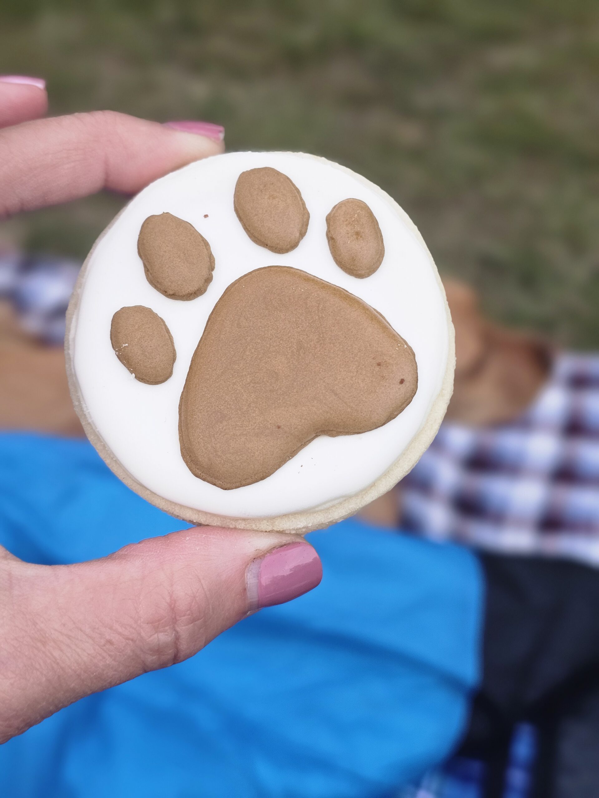 Dog Gone Fun Camp Dessert