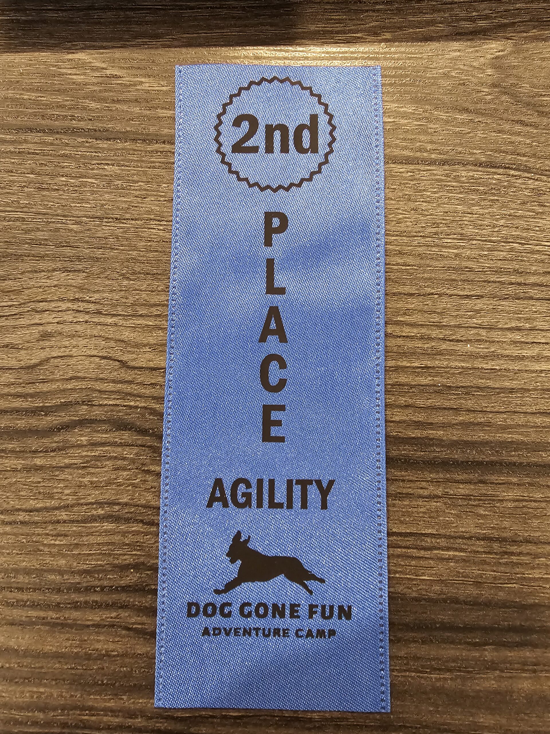 Dog Gone Adventure Camp
