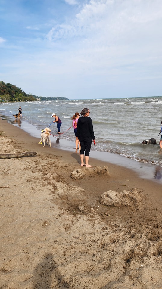 Turkey Point Dog Beach