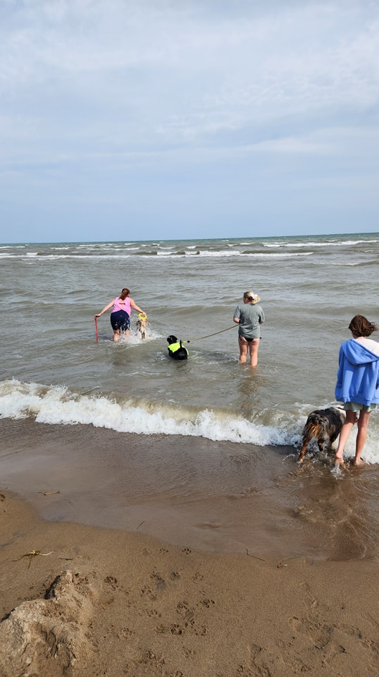 Turkey Point Dog Beach