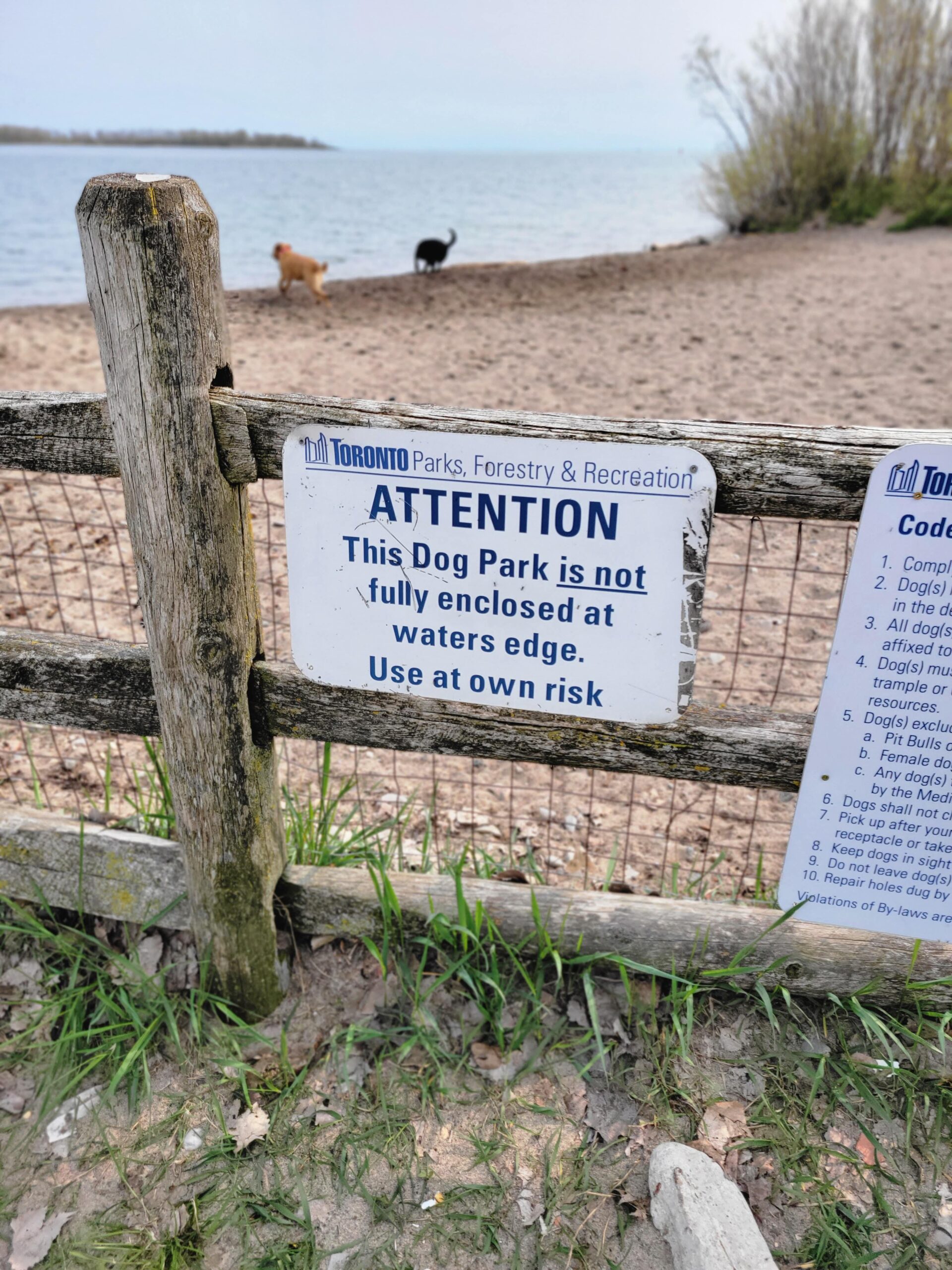Cherry Beach Dog Park