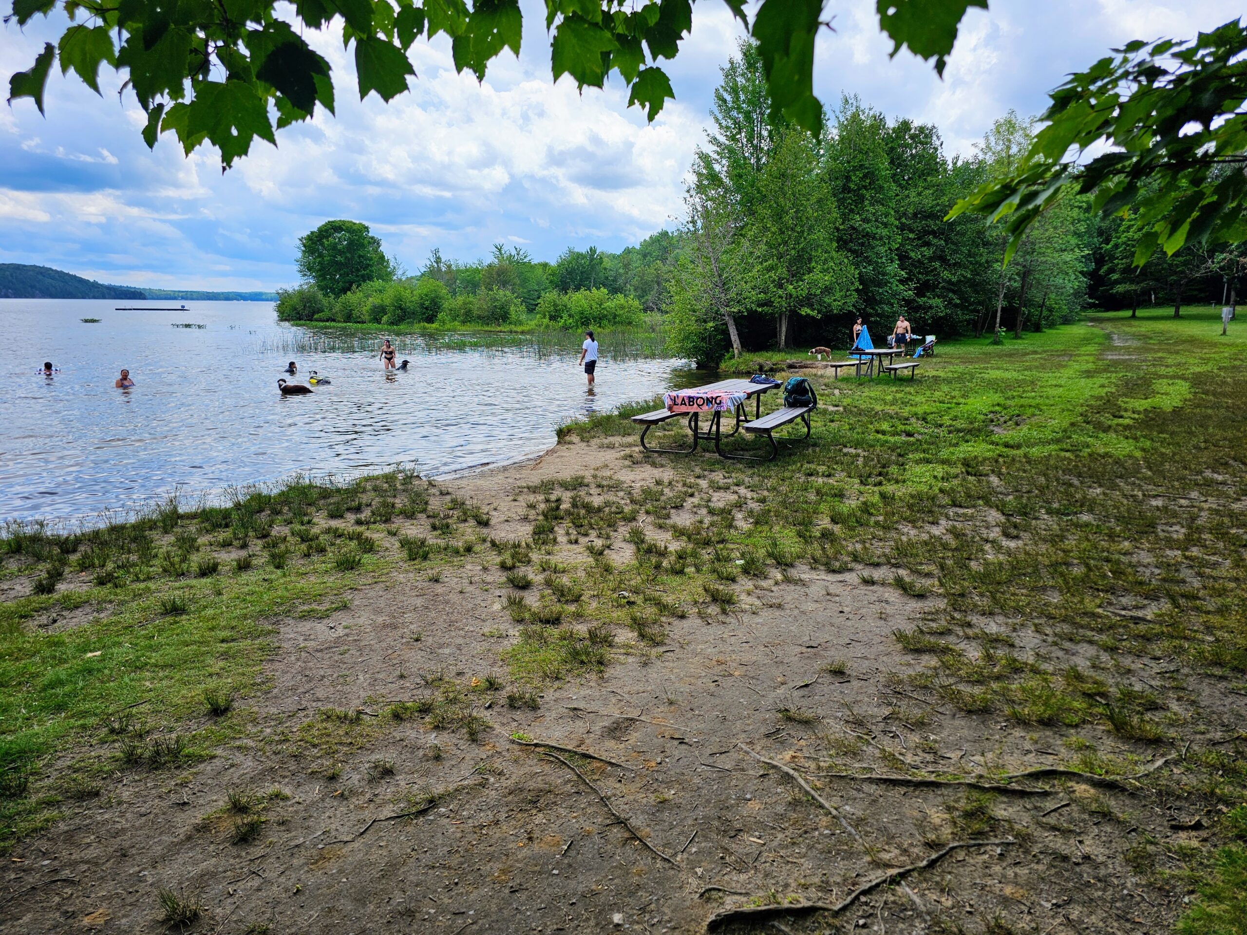Bon Echo Dog Beach