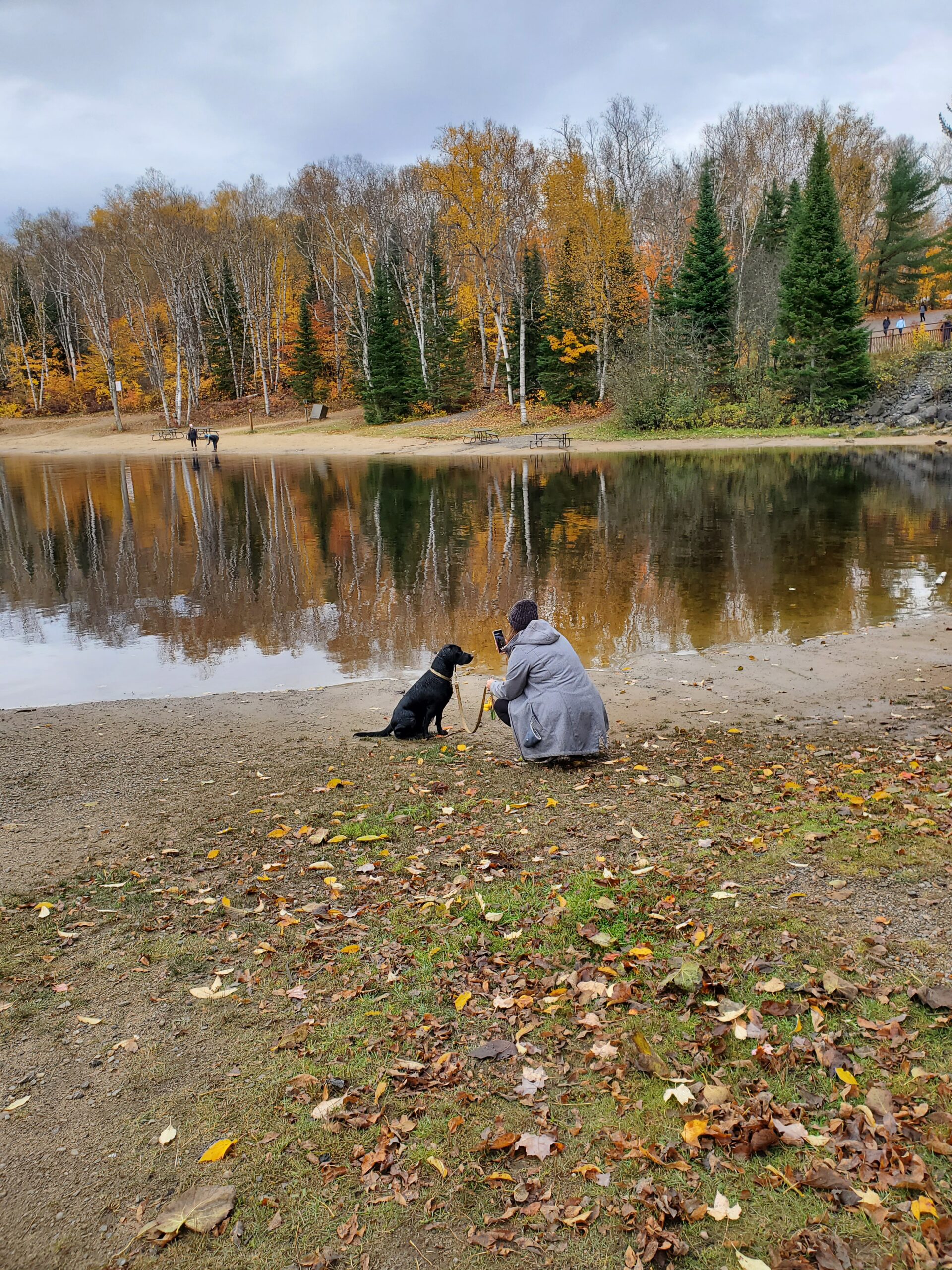 Arrowhead Park - Dog Beach